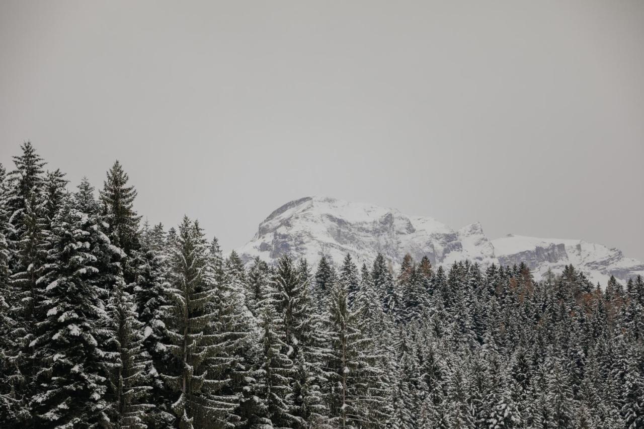 Hygna Chalets Reith im Alpbachtal Dış mekan fotoğraf