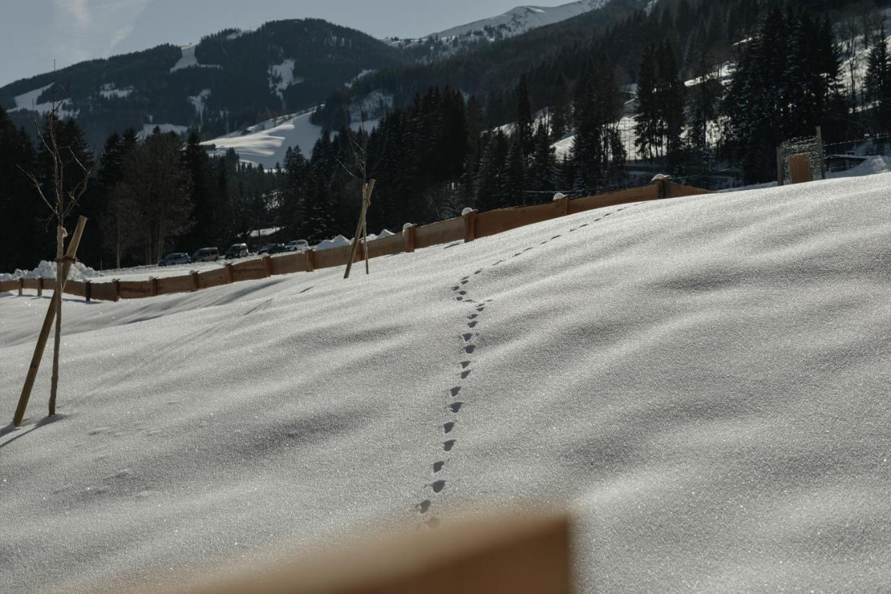 Hygna Chalets Reith im Alpbachtal Dış mekan fotoğraf