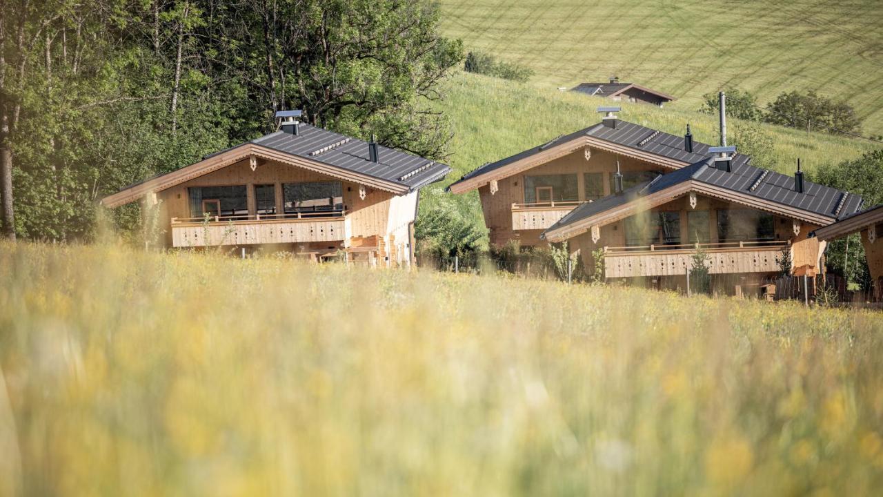 Hygna Chalets Reith im Alpbachtal Dış mekan fotoğraf
